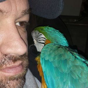 Meet your Posher, Russell